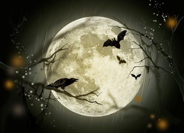 Chauve-souris sur fond de lune